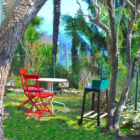 The Palm With Garden * سالا كوماسينا
