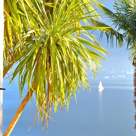 The Palm With Garden شقة